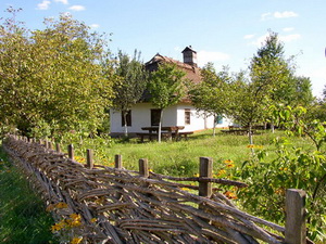 село и компьютер